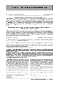 Топографо-анатомические особенности поперечных отверстий шейных позвонков в возрастно-половом аспекте