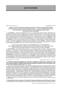 Оценка молекулярных маркеров межклеточного взаимодействия и перекисного окисления липидов у крыс с аллоксановым диабетом и перевитым раком печени при внутривенном введении золотых наностержн