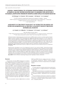 Оценка эффективности лечения гиперактивности мочевого пузыря и анализ морфологических особенностей детрузора у больных доброкачественной гиперплазией предстательной железы