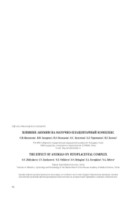Влияние анемии на маточно-плацентарный комплекс