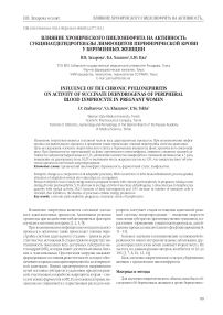 Влияние хронического пиелонефрита на активность сукцинатдегидрогеназы лимфоцитов периферической крови у беременных женщин