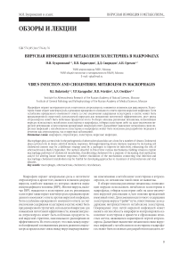 Вирусная инфекция и метаболизм холестерина в макрофагах