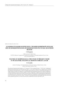 Особенности морфологического строения первичной опухоли при мультицентрическом / мультифокусном росте рака молочной железы