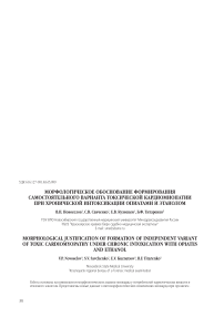 Морфологическое обоснование формирования самостоятельного варианта токсической кардиомиопатии при хронической интоксикации опиатами и этанолом