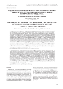 Кардиопротекторный, инотропный и хронотропный эффекты ишемического посткондиционирования на модели изолированного сердца крысы