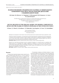 Взаимоотношение органического матрикса и минерального компонента в костях и эмали зубов при дисплазии соединительной ткани