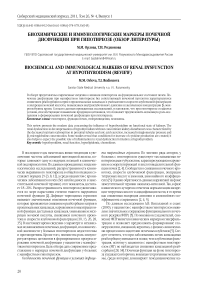 Биохимические и иммунологические маркеры почечной дисфункции при гипотиреозе (обзор литературы)