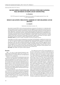 Молекулярнохгенетические прогностические маркеры рака мочевого пузыря (обзор литературы)