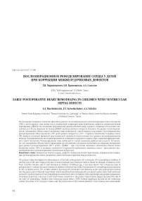 Послеоперационное ремоделирование сердца у детей при коррекции межжелудочковых дефектов
