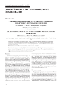Способность каннабиноида HU-210 имитировать феномен ишемического посткондиционирования