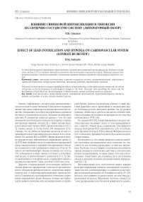 Влияние свинцовой интоксикации и гипоксии на сердечно-сосудистую систему (литературный обзор)