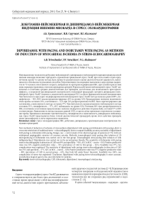 Добутамин-пейсмекерная и дипиридамол-пейсмекерная индукция ишемии миокарда в стресс-эхокардиографии