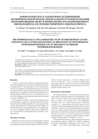 Морфологическое и лабораторное подтверждение экспериментальной модели эндовазальной аутотрансплантации околощитовидных желез в профилактике послеоперационного гипопаратиреоза и в лечении первичного гиперпаратиреоза