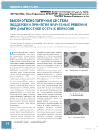 Высокотехнологичная система поддержки принятия врачебных решений при диагностике острых лейкозов