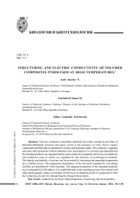 Structuring and electric conductivity of polymer composites pyrolysed at high temperatures