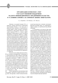 Организация комплекса мер государственной поддержки малого инновационного предпринимательства в условиях кризиса на примере бизнес-инкубатора