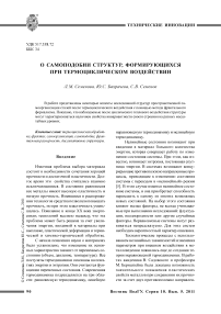 О самоподобии структур, формирующихся при термоциклическом воздействии