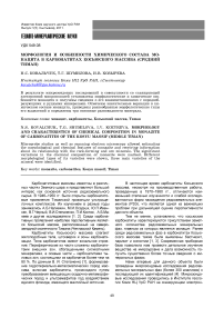 Морфология и особенности химического состава монацита в карбонатитах Косьюского массива (Средний Тиман)