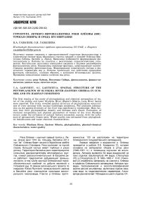 Структура летнего фитопланктона реки Олёкмы (Восточная Сибирь) и среда его обитания