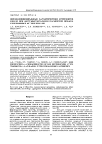 Морфофункциональные характеристики эритроцитов собаки при экстракорпоральном насыщении цефалоспориновыми антибиотиками