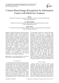 Content Based Image Recognition by Information Fusion with Multiview Features