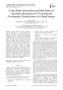 Using Shape Information and Dark Paths for Automatic Recognition of Touching and Overlapping Chromosomes in G-Band Images