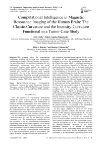 Computational Intelligence in Magnetic Resonance Imaging of the Human Brain: The Classic-Curvature and the Intensity-Curvature Functional in a Tumor Case Study