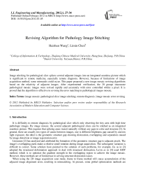 Revising Algorithm for Pathology Image Stitching