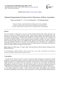 Optimal Segmentation Framework for Detection of Brain Anomalies