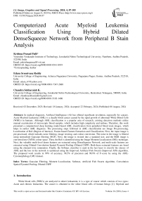 Computerized Acute Myeloid Leukemia Classification Using Hybrid Dilated DenseSqueeze Network from Peripheral B Stain Analysis