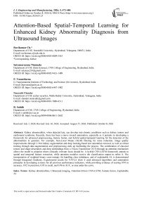 Attention-Based Spatial-Temporal Learning for Enhanced Kidney Abnormality Diagnosis from Ultrasound Images