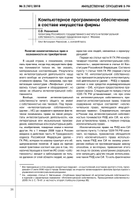 Компьютерное программное обеспечение в составе имущества фирмы