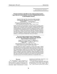 Распространение чернобыльских радионуклидов вдоль транспортных магистралей и их роль в формировании дозы на щитовидную железу