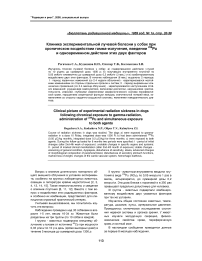 Клиника экспериментальной лучевой болезни у собак при хроническом воздействии гамма-излучения, введении 239Pu и одновременном действии этих двух факторов