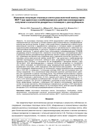 Изменение популяции стволовых клеток рака молочной железы линии MCF-7 при одиночном и комбинированном действии ионизирующего излучения и конъюгатов дендритных полимеров с доксорубицином