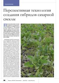 Перспективная технология создания гибридов сахарной свеклы (Beta vulgaris L.)