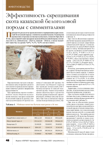 Эффективность скрещивания скота казахской белоголовой породы с симменталами