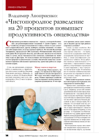 Владимир Аноприенко: « Чистопородное разведение на 20 процентов повышает продуктивность овцеводства»