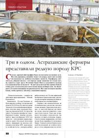 Три в одном. Астраханские фермеры представили редкую породу КРС