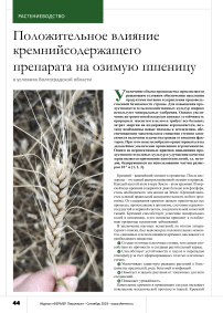 Положительное влияние кремнийсодержащего препарата на озимую пшеницу в условиях Волгоградской области
