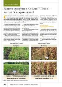 Защита кукурузы с Кельвин® Плюс – выгода без ограничений