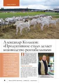 Александр Кольцов: «Продуктивное стадо делает козоводство рентабельным»