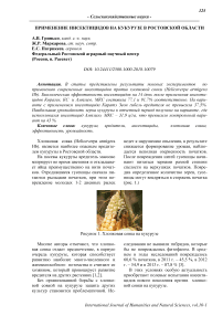 Применение инсектицидов на кукурузе в Ростовской области