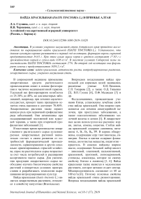 Вайда красильная (Isatis tinctoria L.) в Приобье Алтая