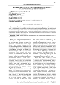 Изучение параметров сеянцев пихты разных видов в Ботаническом саду-институте ПГТУ