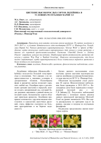 Цветение высокорослых сортов лилейника в условиях Республики Марий Эл