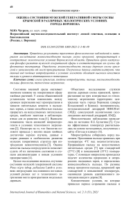 Оценка состояния мужской генеративной сферы сосны крымской в различных экологических условиях города Воронежа