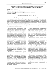 Влияние условий среды обитания на индекс сердца Perca fluviatilis (Красноярское водохранилище)