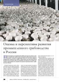 Оценка и перспективы развития промышленного грибоводства в России