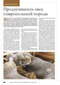 Продуктивность овец ставропольской породы